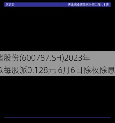 中储股份(600787.SH)2023年度拟每股派0.128元 6月6日除权除息