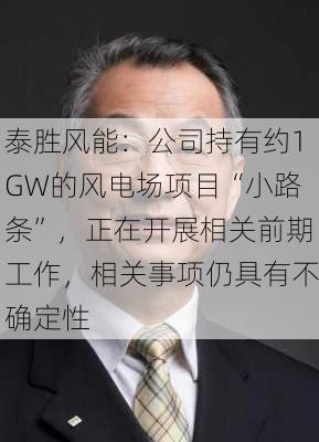 泰胜风能：公司持有约1GW的风电场项目“小路条”，正在开展相关前期工作，相关事项仍具有不确定性