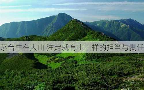 茅台生在大山 注定就有山一样的担当与责任