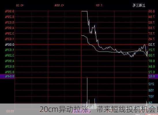 20cm异动拉涨，带来短线投机机会！