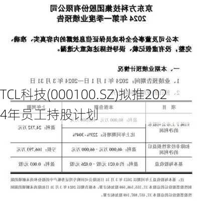 TCL科技(000100.SZ)拟推2024年员工持股计划