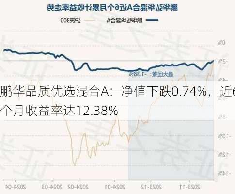 鹏华品质优选混合A：净值下跌0.74%，近6个月收益率达12.38%