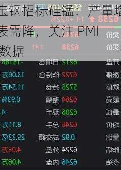 宝钢招标硅锰：产量增表需降，关注 PMI 数据