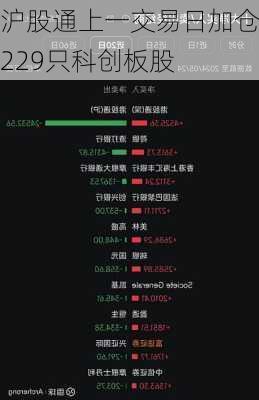 沪股通上一交易日加仓229只科创板股