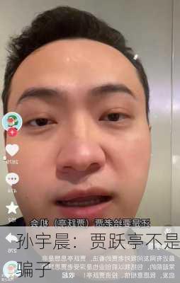 孙宇晨：贾跃亭不是骗子