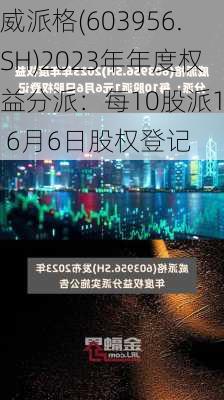 威派格(603956.SH)2023年年度权益分派：每10股派1元 6月6日股权登记