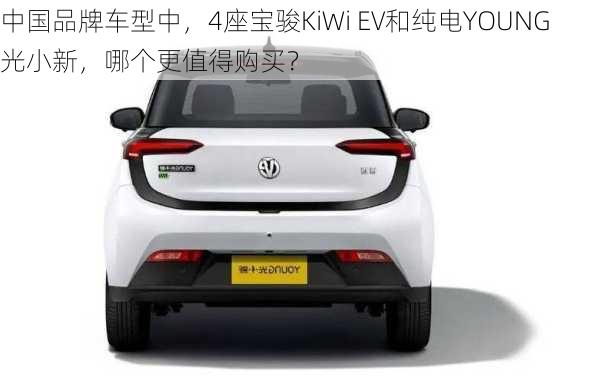 中国品牌车型中，4座宝骏KiWi EV和纯电YOUNG光小新，哪个更值得购买？