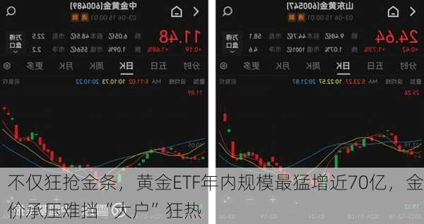 不仅狂抢金条，黄金ETF年内规模最猛增近70亿，金价承压难挡“大户”狂热