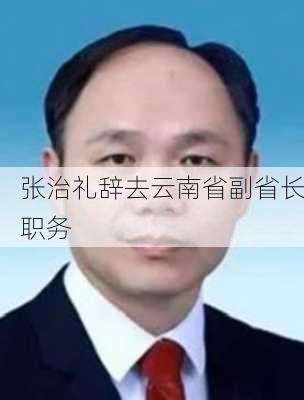 张治礼辞去云南省副省长职务