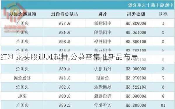 红利龙头股迎风起舞 公募密集推新品布局