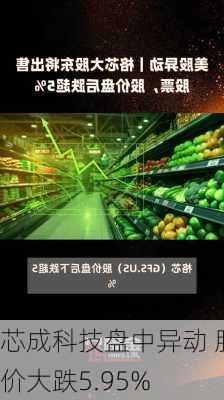 芯成科技盘中异动 股价大跌5.95%