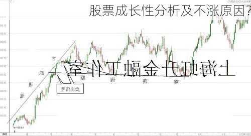 股票成长性分析及不涨原因？