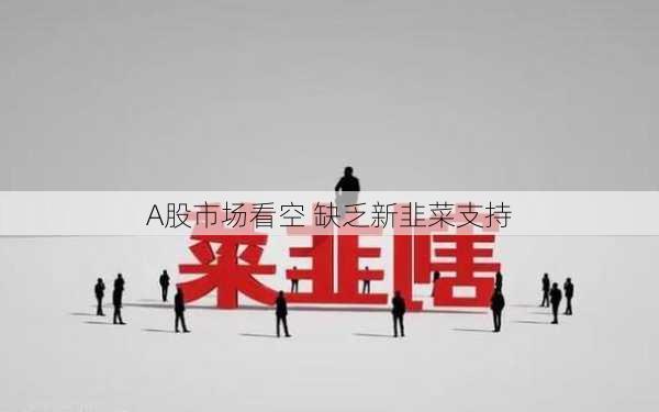 A股市场看空 缺乏新韭菜支持