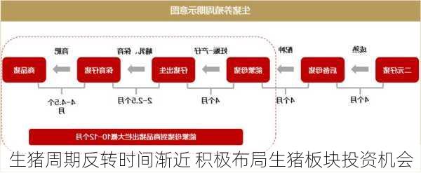 生猪周期反转时间渐近 积极布局生猪板块投资机会