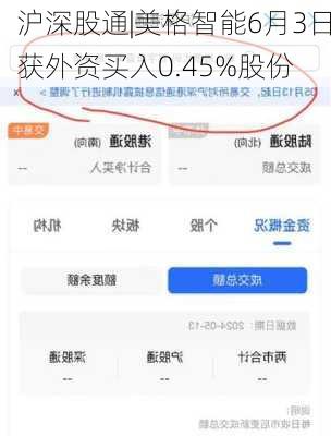 沪深股通|美格智能6月3日获外资买入0.45%股份