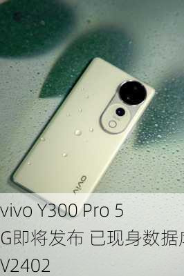 vivo Y300 Pro 5G即将发布 已现身数据库 型号V2402