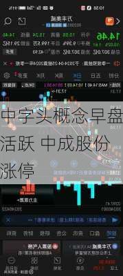 中字头概念早盘活跃 中成股份涨停