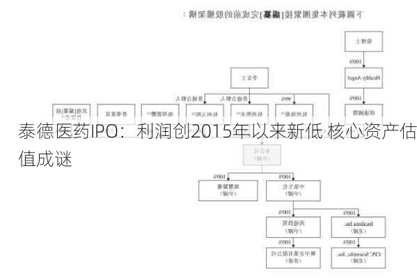 泰德医药IPO：利润创2015年以来新低 核心资产估值成谜