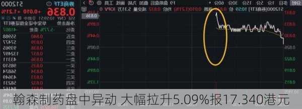 翰森制药盘中异动 大幅拉升5.09%报17.340港元