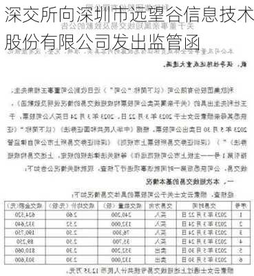 深交所向深圳市远望谷信息技术股份有限公司发出监管函