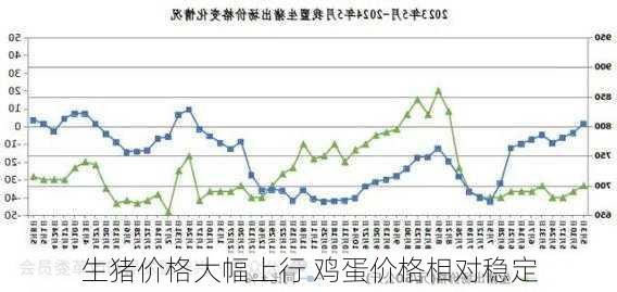 生猪价格大幅上行 鸡蛋价格相对稳定