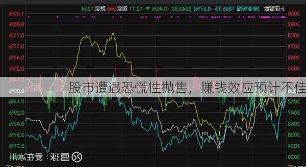 股市遭遇恐慌性抛售，赚钱效应预计不佳