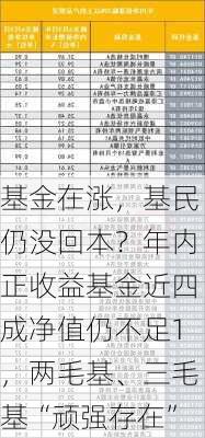 基金在涨，基民仍没回本？年内正收益基金近四成净值仍不足1，两毛基、三毛基“顽强存在”