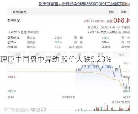 理臣中国盘中异动 股价大跌5.23%