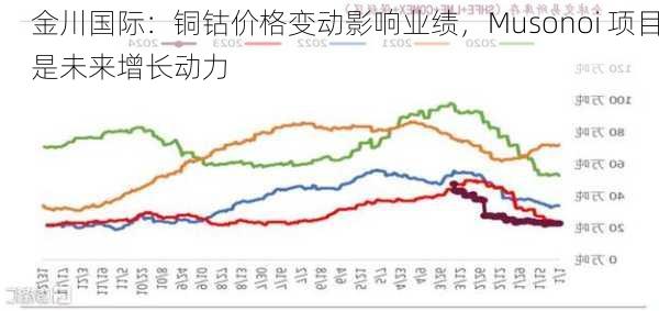 金川国际：铜钴价格变动影响业绩，Musonoi 项目是未来增长动力