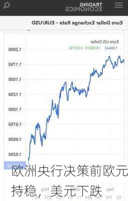 欧洲央行决策前欧元持稳，美元下跌