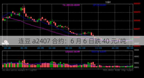 连豆 a2407 合约：6 月 6 日跌 40 元/吨