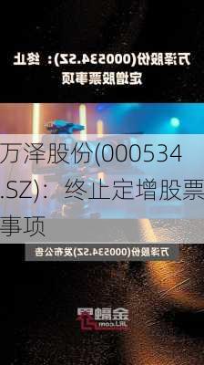 万泽股份(000534.SZ)：终止定增股票事项