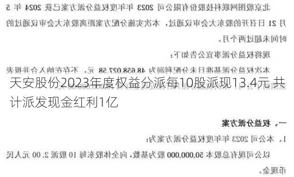 天安股份2023年度权益分派每10股派现13.4元 共计派发现金红利1亿