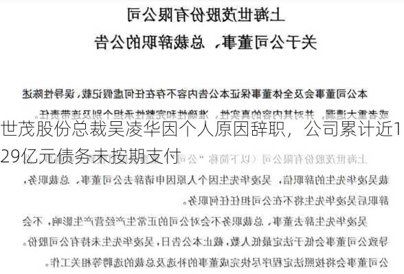 世茂股份总裁吴凌华因个人原因辞职，公司累计近129亿元债务未按期支付