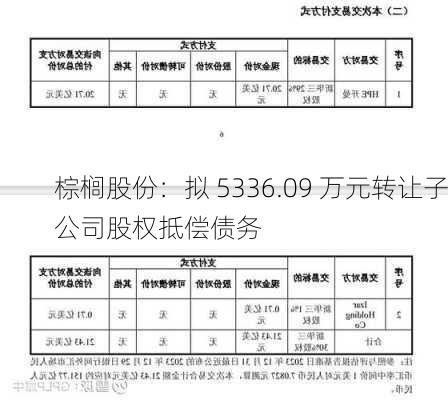 棕榈股份：拟 5336.09 万元转让子公司股权抵偿债务