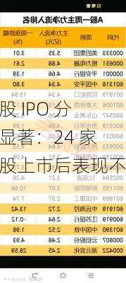 港股 IPO 分化显著：24 家新股上市后表现不一