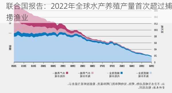 联合国报告：2022年全球水产养殖产量首次超过捕捞渔业