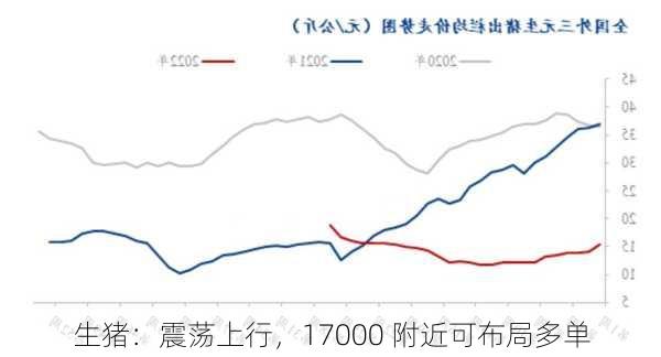 生猪：震荡上行，17000 附近可布局多单