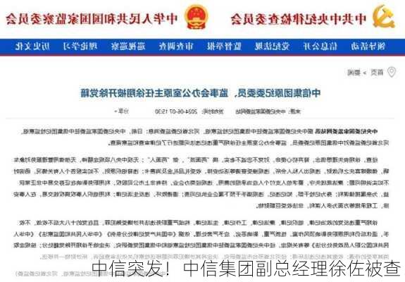 中信突发！中信集团副总经理徐佐被查！