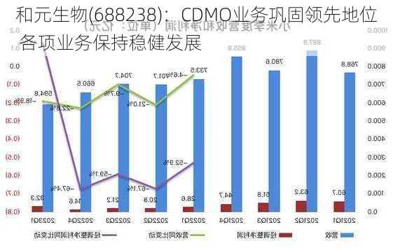 和元生物(688238)：CDMO业务巩固领先地位 各项业务保持稳健发展