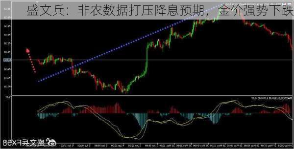 盛文兵：非农数据打压降息预期，金价强势下跌