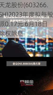 天龙股份(603266.SH)2023年度拟每股派0.17元 6月18日除权除息