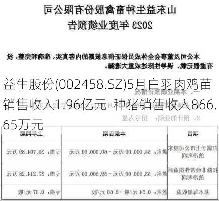 益生股份(002458.SZ)5月白羽肉鸡苗销售收入1.96亿元  种猪销售收入866.65万元