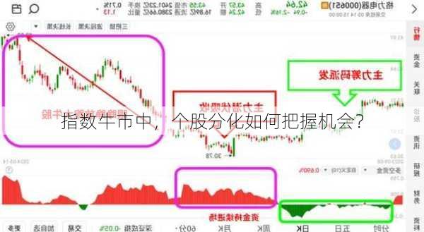 指数牛市中，个股分化如何把握机会？