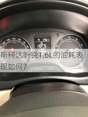 斯柯达昕锐1.6L的油耗表现如何？