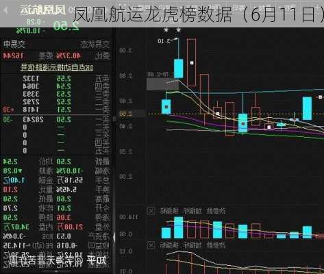 凤凰航运龙虎榜数据（6月11日）