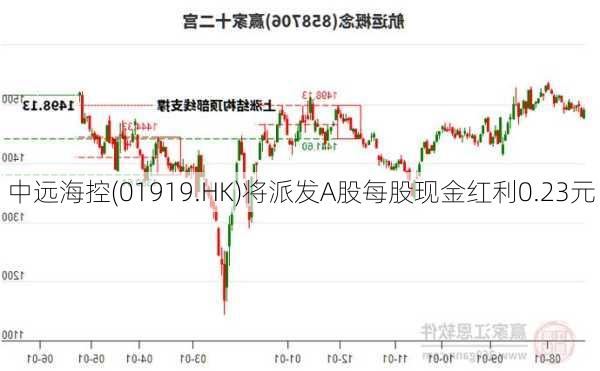 中远海控(01919.HK)将派发A股每股现金红利0.23元