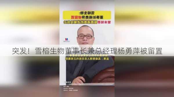 突发！雪榕生物董事长兼总经理杨勇萍被留置