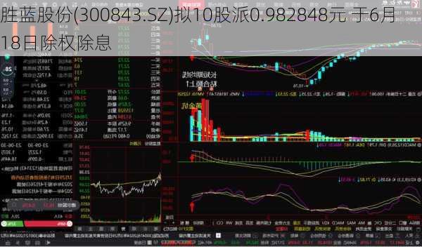 胜蓝股份(300843.SZ)拟10股派0.982848元 于6月18日除权除息