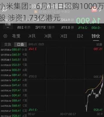 小米集团：6月11日回购1000万股 涉资1.73亿港元